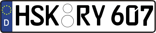 HSK-RY607