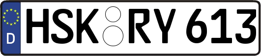 HSK-RY613