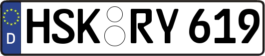 HSK-RY619