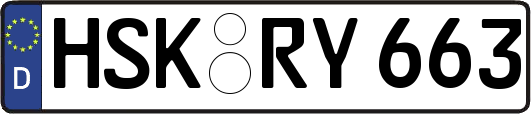 HSK-RY663