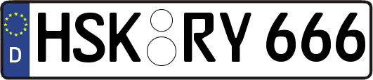 HSK-RY666
