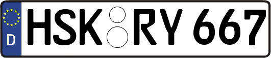 HSK-RY667
