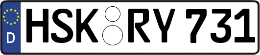 HSK-RY731