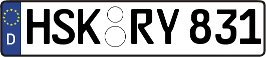 HSK-RY831