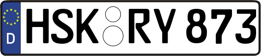 HSK-RY873