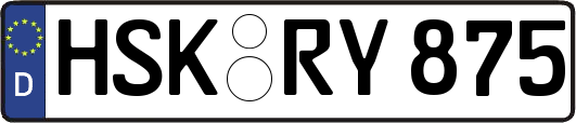 HSK-RY875