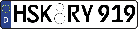 HSK-RY919