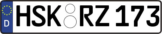 HSK-RZ173