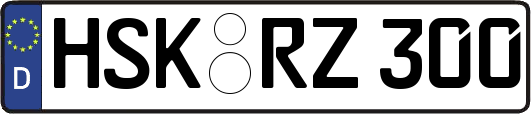 HSK-RZ300