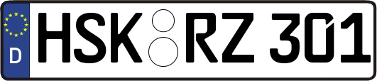 HSK-RZ301