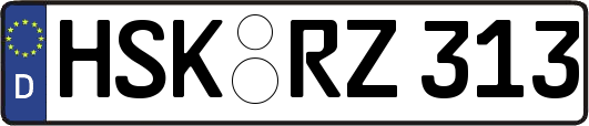 HSK-RZ313
