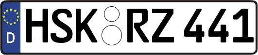 HSK-RZ441