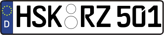 HSK-RZ501