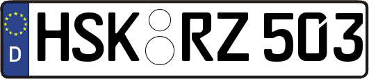 HSK-RZ503