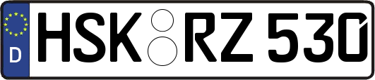 HSK-RZ530