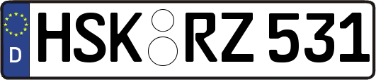 HSK-RZ531