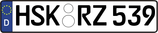 HSK-RZ539
