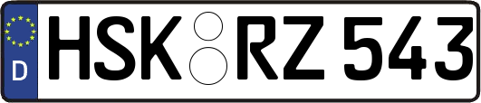 HSK-RZ543