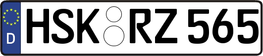 HSK-RZ565