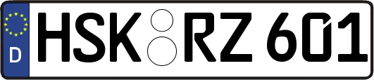 HSK-RZ601