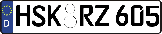 HSK-RZ605