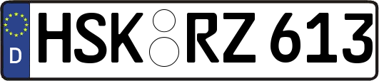 HSK-RZ613