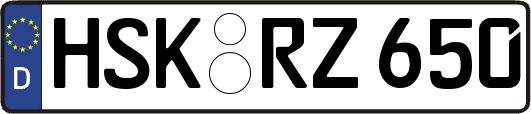 HSK-RZ650