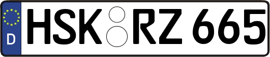 HSK-RZ665