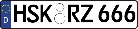 HSK-RZ666