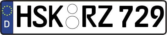 HSK-RZ729