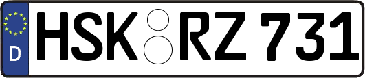HSK-RZ731