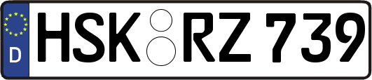 HSK-RZ739