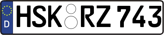 HSK-RZ743