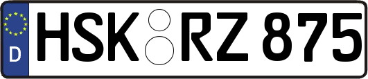 HSK-RZ875