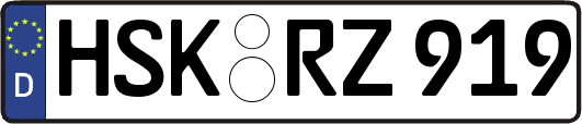 HSK-RZ919