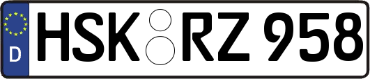 HSK-RZ958
