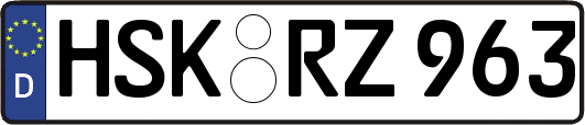 HSK-RZ963