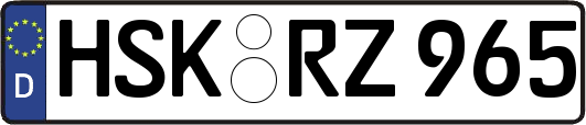HSK-RZ965