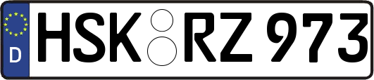 HSK-RZ973