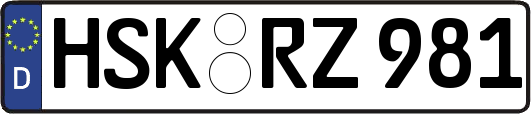 HSK-RZ981