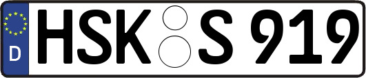 HSK-S919