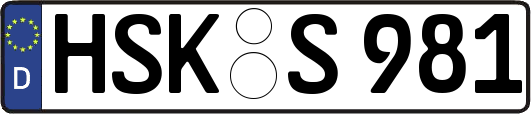 HSK-S981