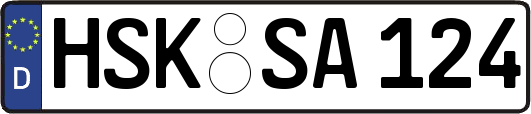 HSK-SA124