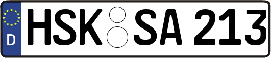 HSK-SA213