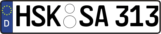 HSK-SA313