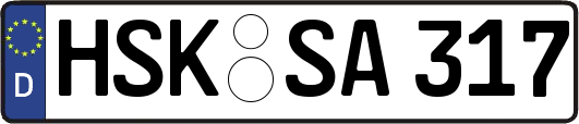 HSK-SA317