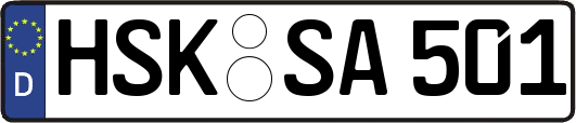 HSK-SA501