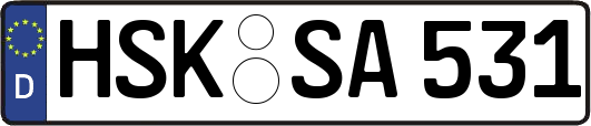 HSK-SA531