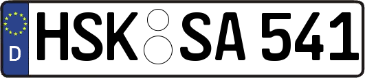 HSK-SA541