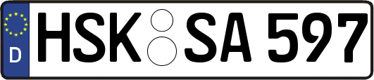 HSK-SA597